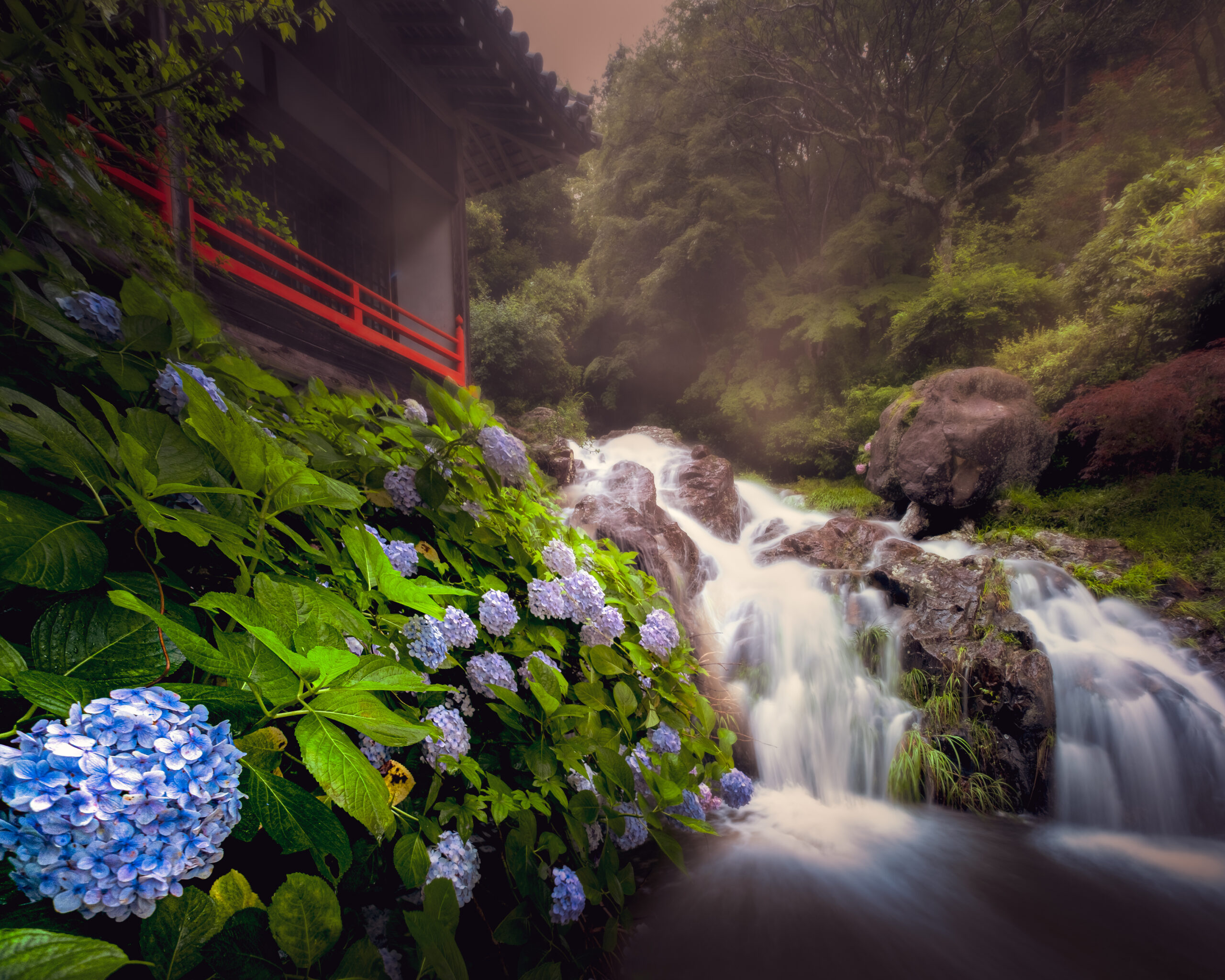 大滝山西法院の紫陽花