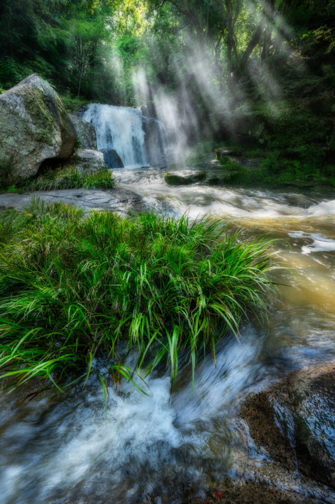 夕方に光が差し込む鳴滝森林公園